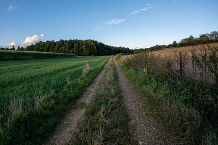20250911_191548.jpg