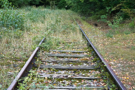 20250911_192437.jpg