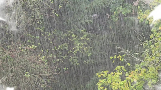 2025-10-04 Mystery Trounwiessel.mp4