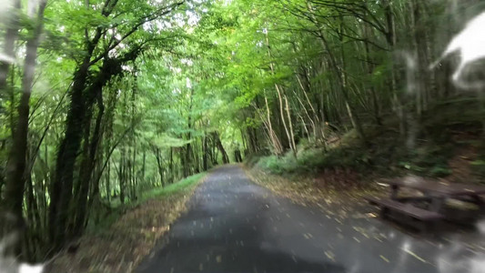 2025-10-19 Go Go VELO.mp4