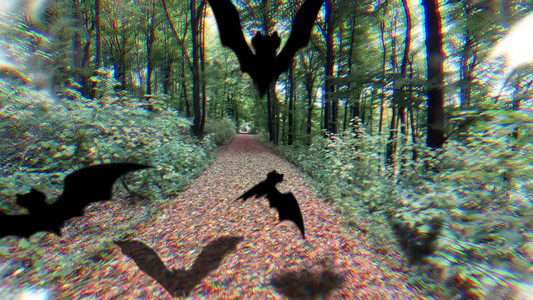 2025-11-03 Autumn rides.mp4