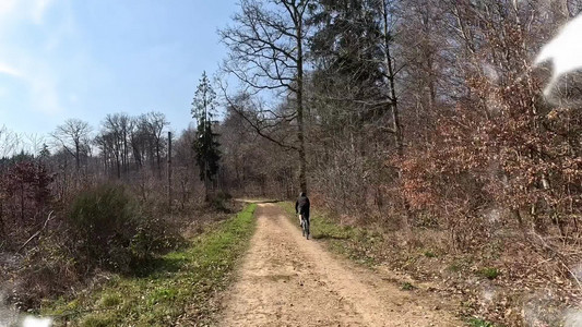 2026-03-22 Grunewald.mp4