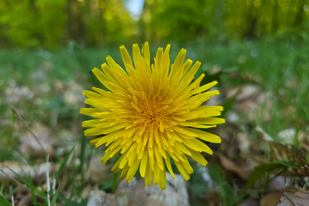 20260422_183722.jpg