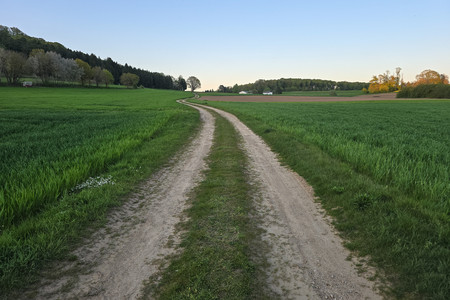 20260422_201652.jpg
