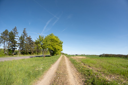 20260424_172050.jpg
