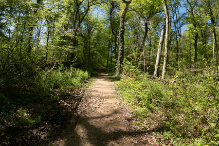 20260425_131741.jpg
