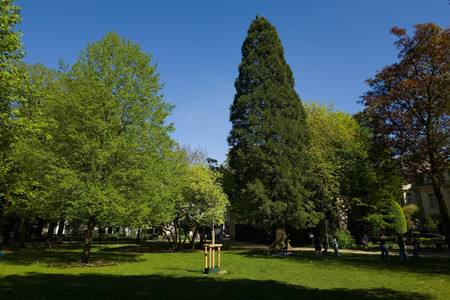 20260425_161332.jpg