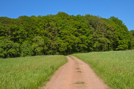 20260426_162948.jpg