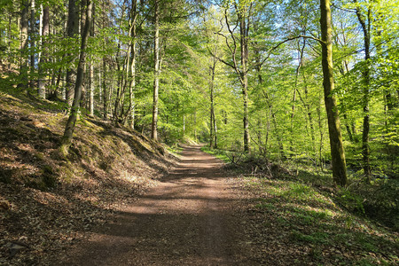 20260426_174028.jpg