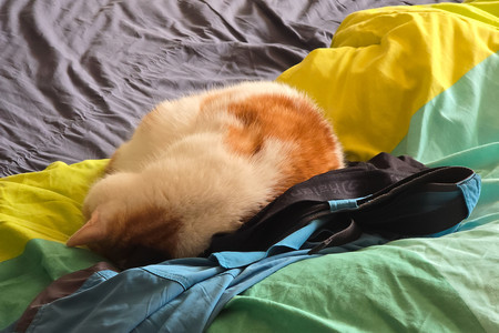20260427_111707.jpg
