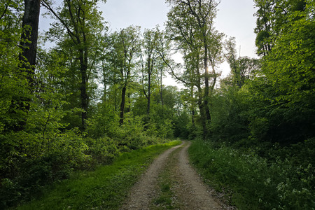 20260427_183429.jpg
