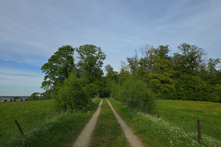 20260427_183826.jpg