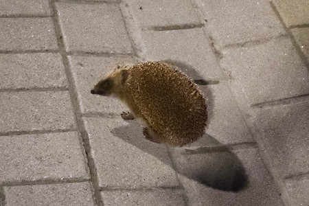 20260427_214010.jpg
