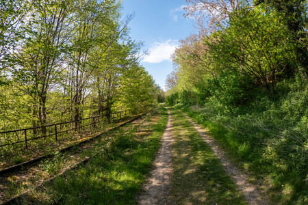 20260428_171207.jpg