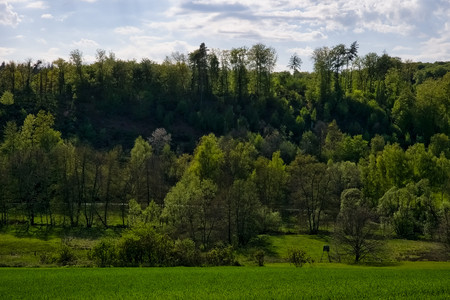 20260428_172539.jpg