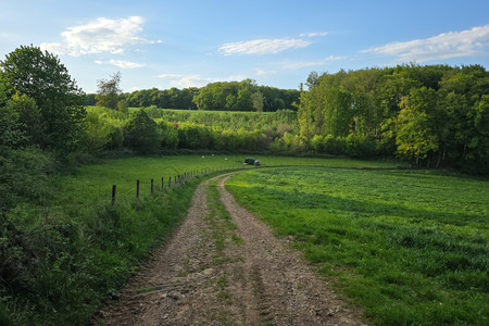20260428_190003.jpg