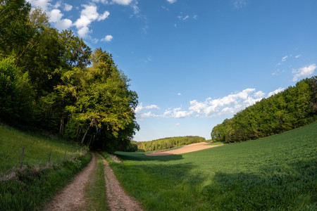 20260428_190159.jpg