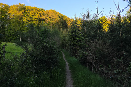20260428_200151.jpg