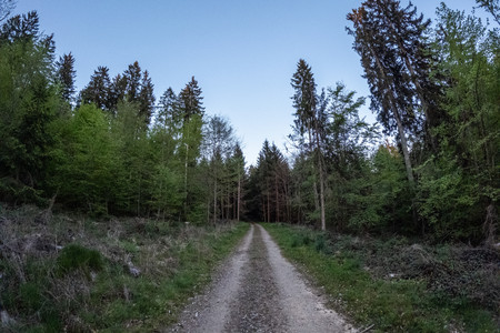 20260428_202235.jpg