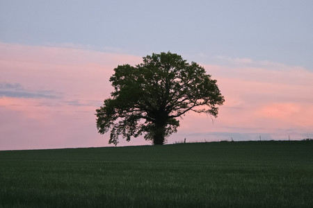 20260428_205322.jpg