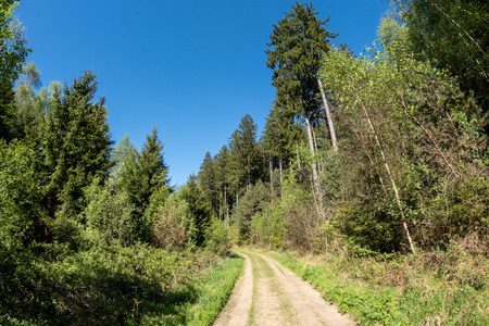20260430_163136.jpg