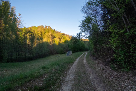 20260501_200228.jpg