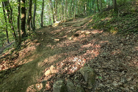 20260501_202033.jpg