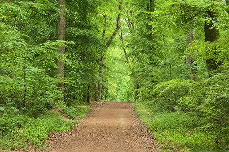 20260504_164519.jpg