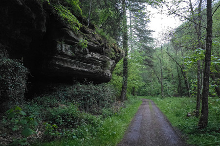 20260505_205334.jpg