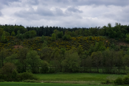20260506_173234.jpg