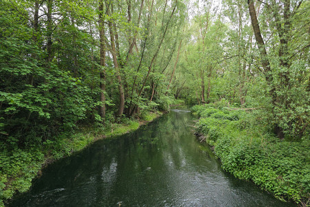 20260507_195557.jpg