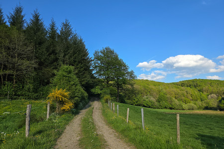 20260508_184343.jpg