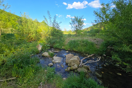 20260509_190837.jpg