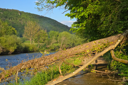 20260509_191837.jpg
