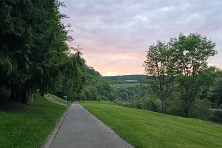 20260509_205025.jpg
