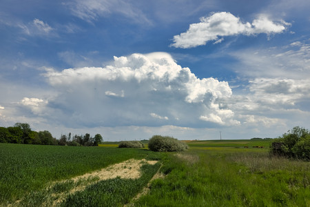 20260510_152630.jpg