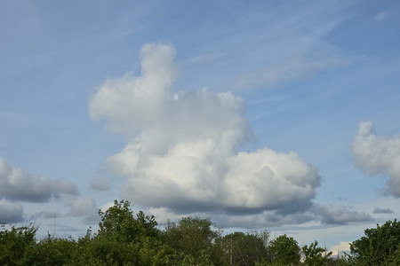20260515_183917.jpg