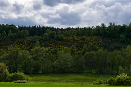 20260516_173625.jpg