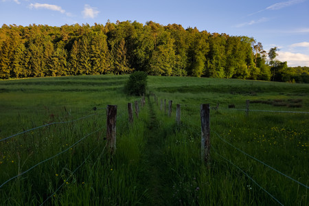 20260518_201324.jpg