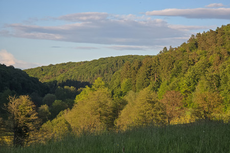 20260518_201617.jpg