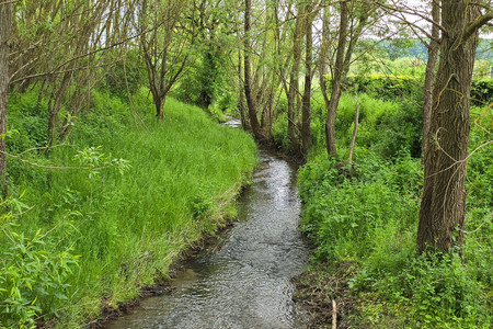 20260519_170841.jpg