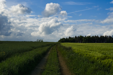 20260520_183240.jpg