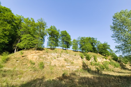 20260523_183756.jpg