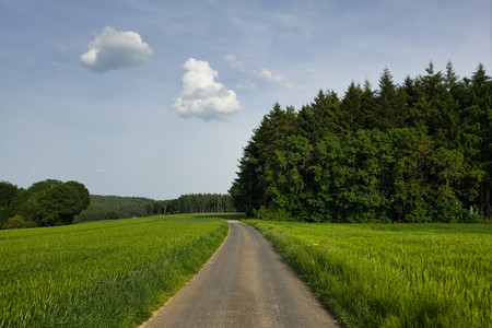 20260524_181536.jpg