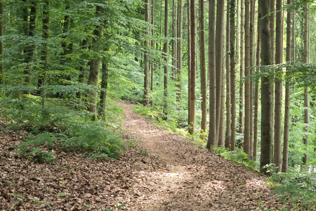 20260524_185421.jpg