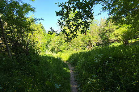 20260525_152910.jpg