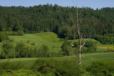 20260525_160946.jpg