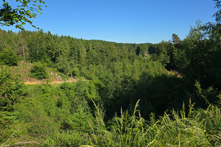 20260525_175147.jpg