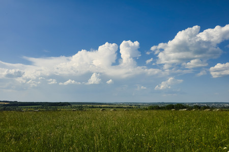 20260527_173107.jpg