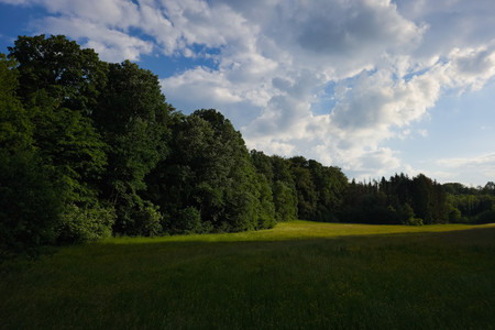 20260527_190136.jpg